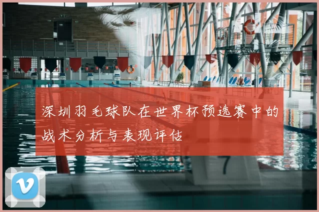 深圳羽毛球队在世界杯预选赛中的战术分析与表现评估