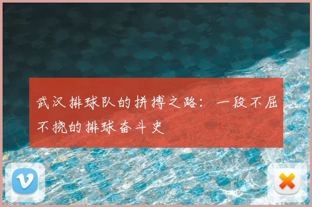 武汉排球队的拼搏之路：一段不屈不挠的排球奋斗史