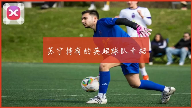 苏宁持有的英超球队介绍