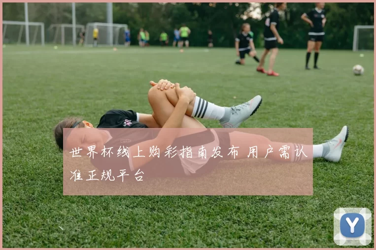 世界杯线上购彩指南发布 用户需认准正规平台