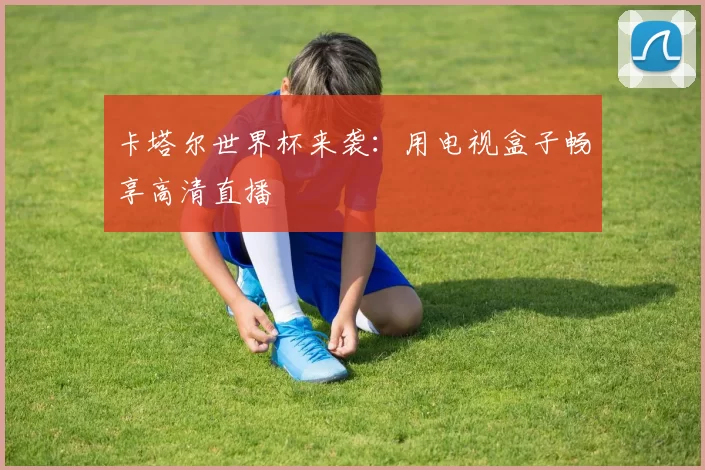 卡塔尔世界杯来袭:用电视盒子畅享高清直播