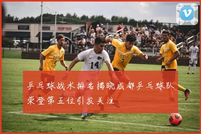 乒乓球战术排名揭晓成都乒乓球队荣登第五位引发关注