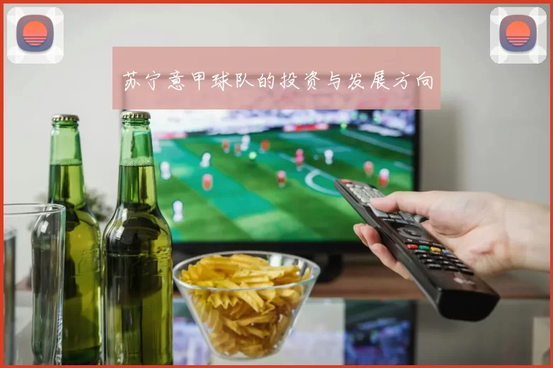 苏宁意甲球队的投资与发展方向