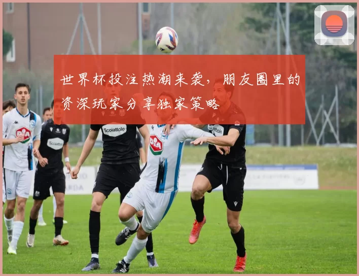 世界杯投注热潮来袭,朋友圈里的资深玩家分享独家策略