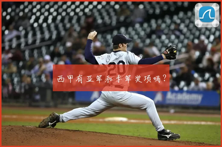 西甲有亚军和季军奖项吗？