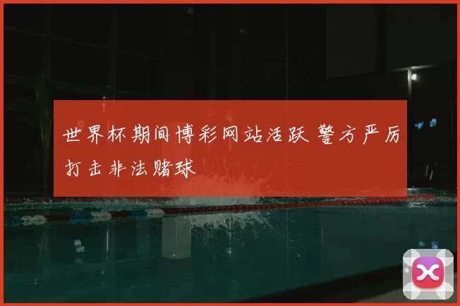 世界杯期间博彩网站活跃 警方严厉打击非法赌球