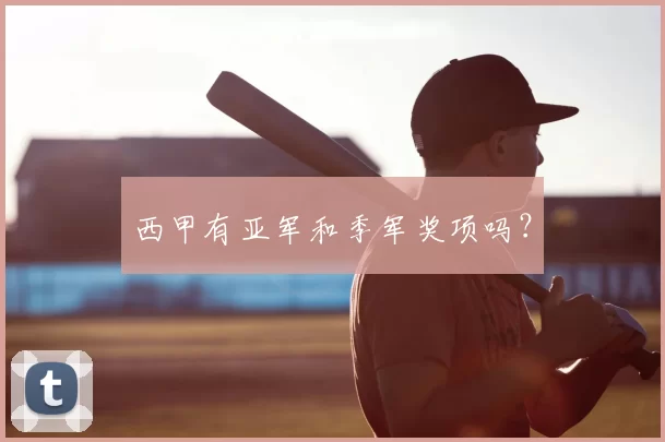 西甲有亚军和季军奖项吗？