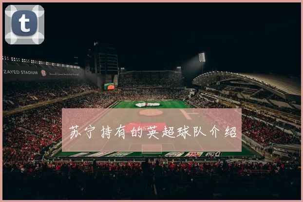苏宁持有的英超球队介绍