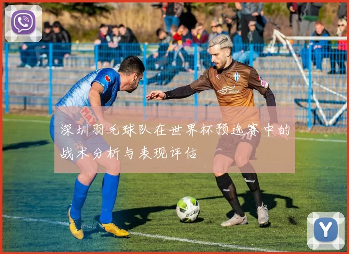 深圳羽毛球队在世界杯预选赛中的战术分析与表现评估