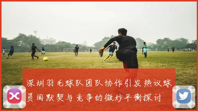 深圳羽毛球队团队协作引发热议球员间默契与竞争的微妙平衡探讨
