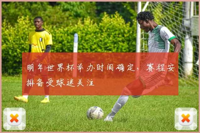 明年世界杯举办时间确定，赛程安排备受球迷关注