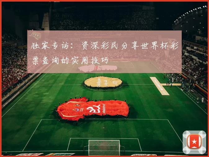 独家专访:资深彩民分享世界杯彩票查询的实用技巧