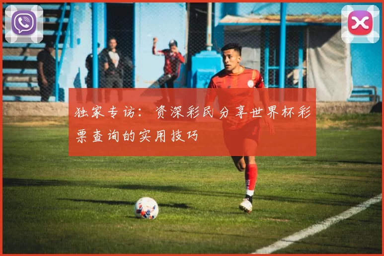 独家专访:资深彩民分享世界杯彩票查询的实用技巧